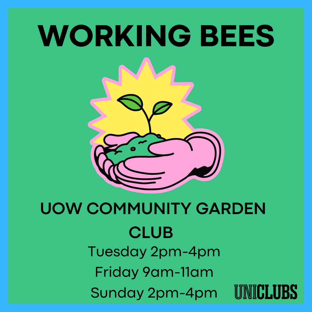 Pulse Community Garden Working Bee Promo image showing times